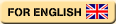 An English overview